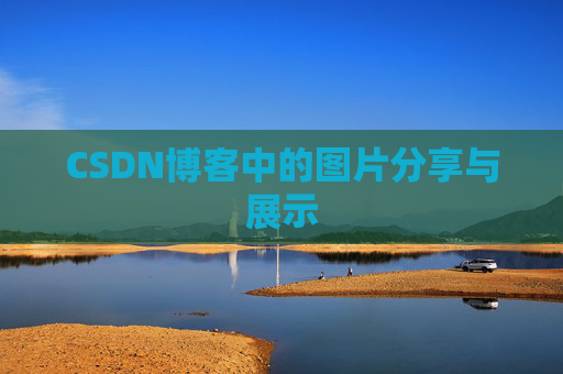 CSDN博客中的图片分享与展示
